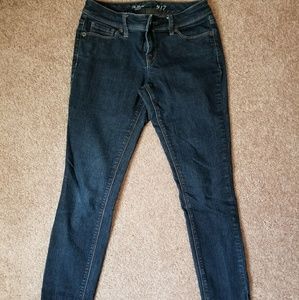 The Limited Skinny Jeans